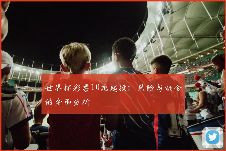世界杯彩票10元起投：风险与机会的全面分析