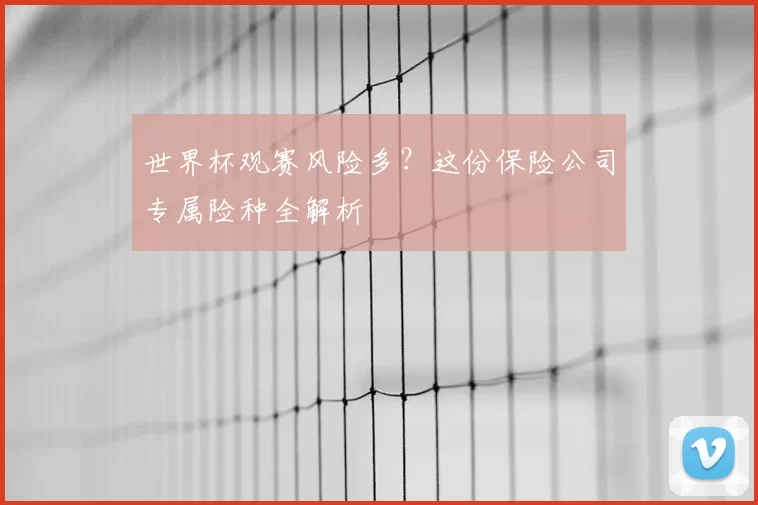 世界杯观赛风险多?这份保险公司专属险种全解析