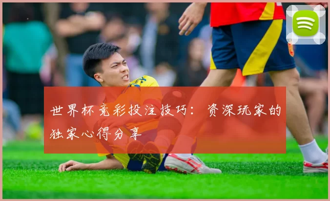 世界杯竞彩投注技巧：资深玩家的独家心得分享