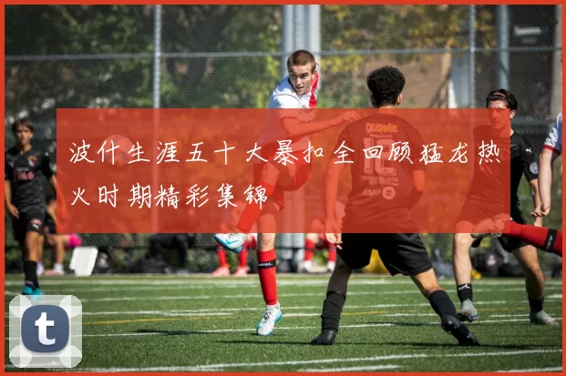 波什生涯五十大暴扣全回顾猛龙热火时期精彩集锦