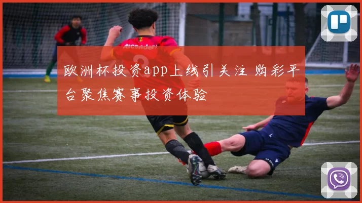 欧洲杯投资app上线引关注 购彩平台聚焦赛事投资体验