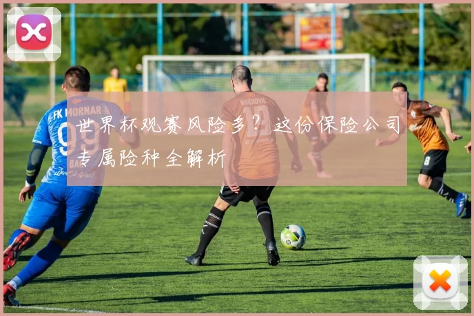 世界杯观赛风险多？这份保险公司专属险种全解析