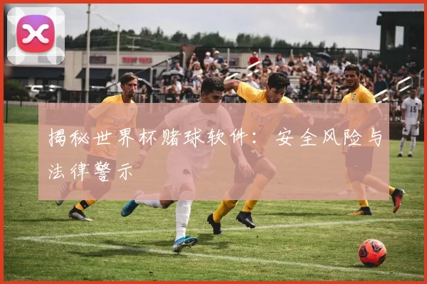 揭秘世界杯赌球软件：安全风险与法律警示